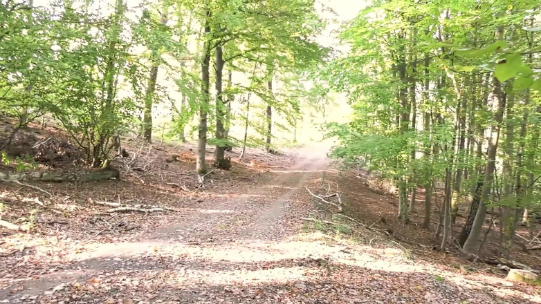 German Full Movies: Blondýna nadržená MILF chce být šukána a stříkána všude