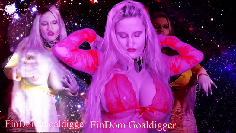 FinDom Goaldigger: FinDom Goaldigger is your owner