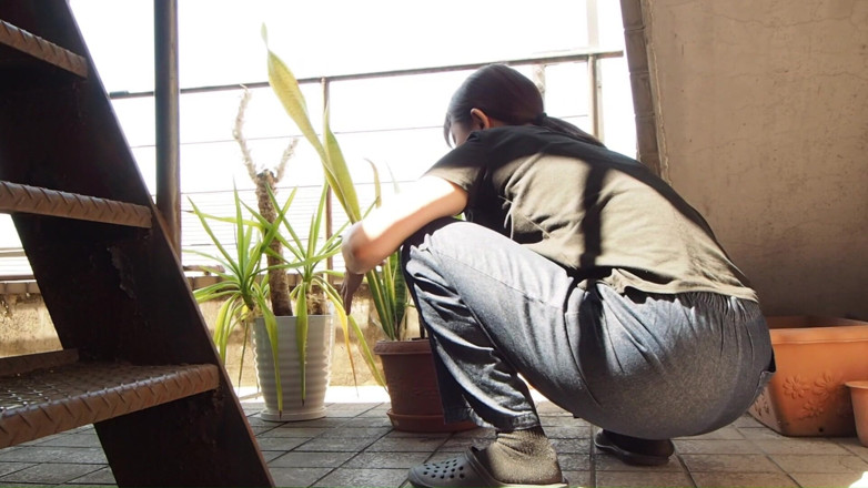 Mayumi Kanzaki: Urina într-o plantă în ghiveci
