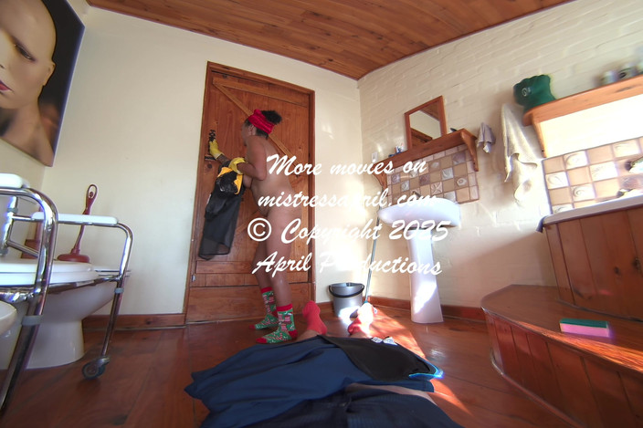 April VR Productions: Uklízeč ptáků - April Productions VR