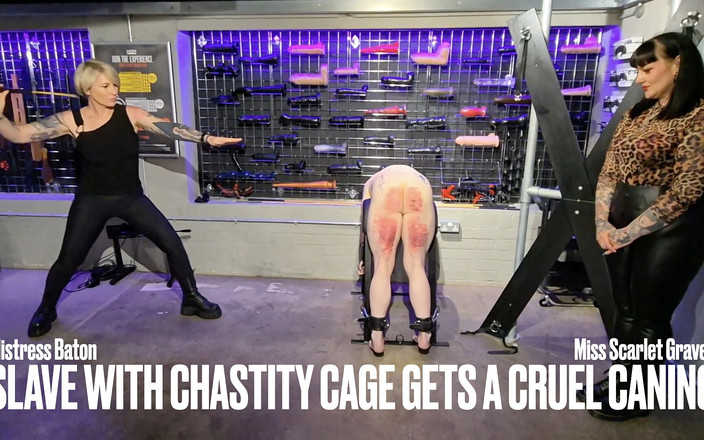 MistressBaton: Lo schiavo in gabbia di castità riceve una crudele bacchettona
