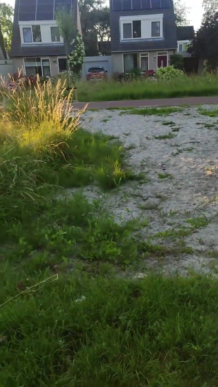 Skwabbr: Gli sconosciuti sono stati da vicino mentre accarezzavo il mio...