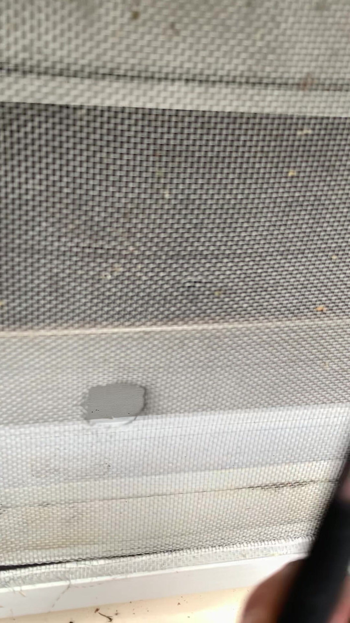 Jaycee starr: Beccato a masturbarsi dal fidanzato