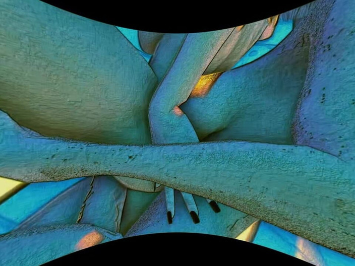 Futanari VR: Funy Editions 3