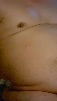 Korean Bear