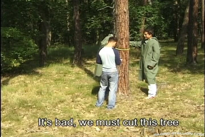 High Octane: Hard Wood