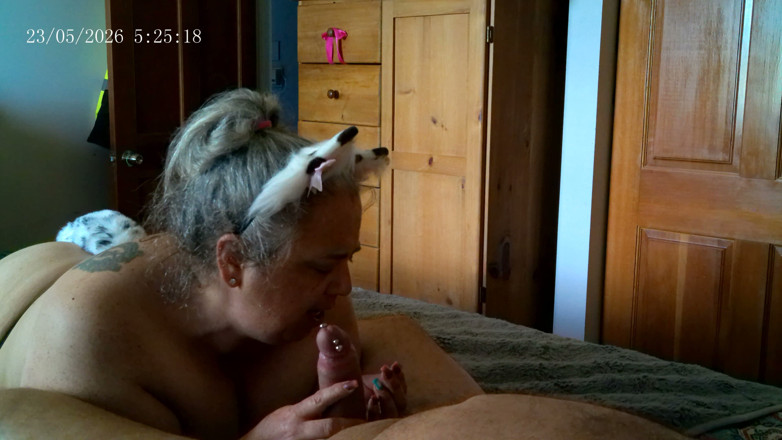 Ramblin Rows: Kitty Meow Meow