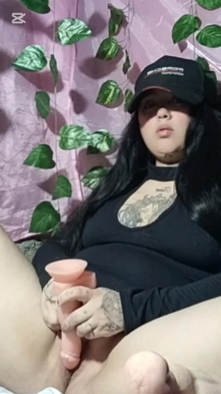 Dalyla: 콜롬비아 아레차