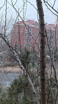 A Naked Gay Masturbating in Public Place