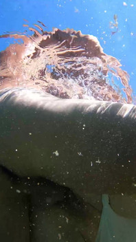Underwater Anal Sex Cum Eat Mouth Piss