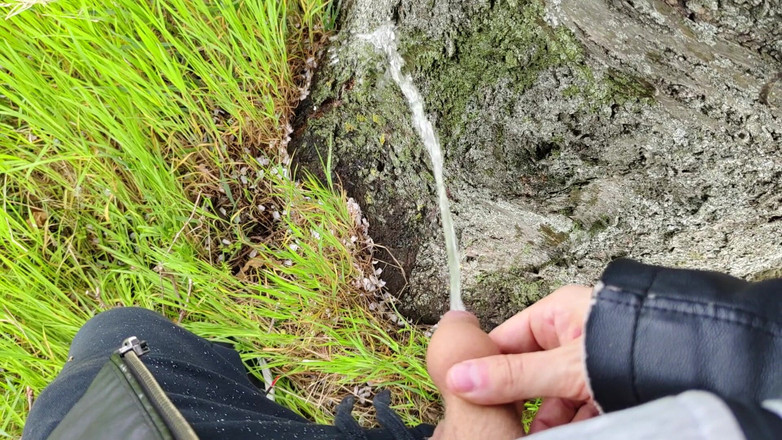 Bayer911: Torta no Oak