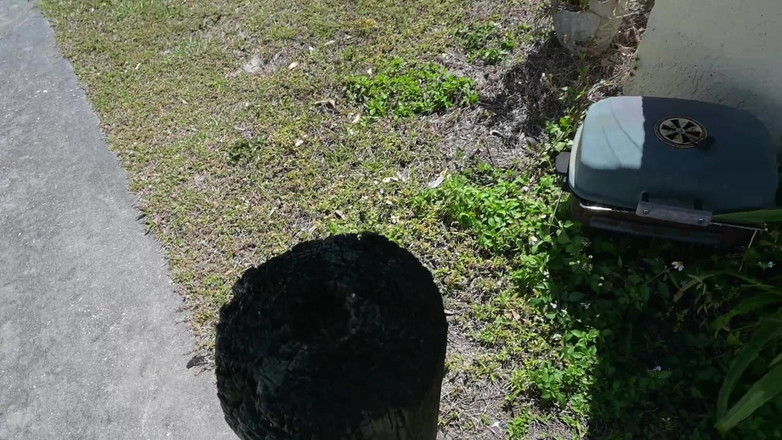 Miss Ellie Roleplay: Maaf menjilati kaki kotor penurut