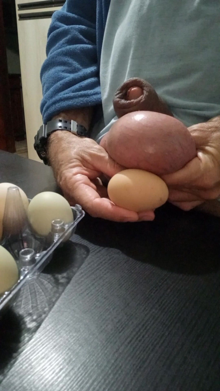 Lion big balls: Mesurer et comparer les oeufs