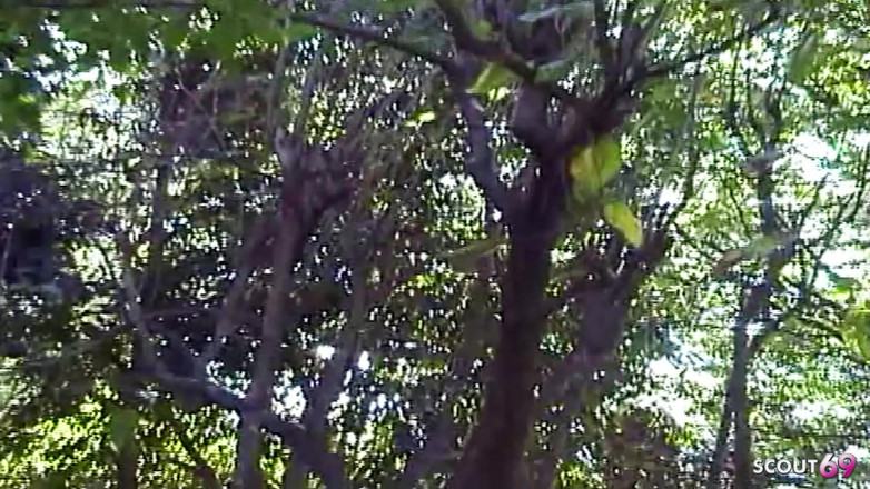 Shemale TS Collection: Ao ar livre latina travesti fode cara pela primeira vez...