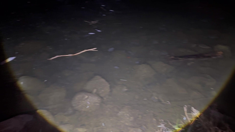 Putarankahotmilf: 夜のハイキングで、ほとんどの服を脱ぎました