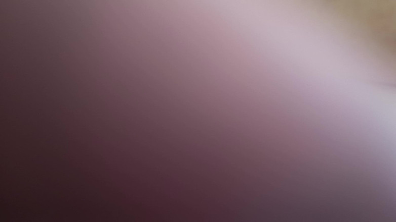 XhellllehX: Weißen schwanz reiten