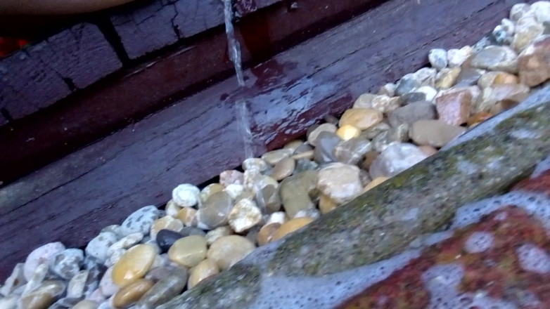 Hot-Pussy66: Nước tiểu dòng mỡ từ lồn béo