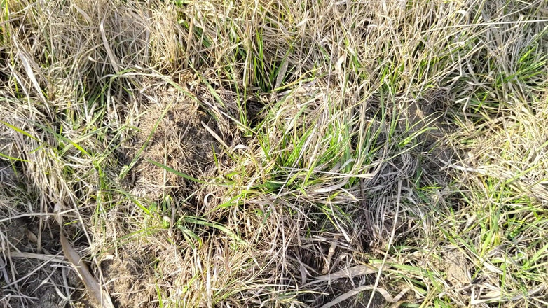 Bayer911: 屋外小便