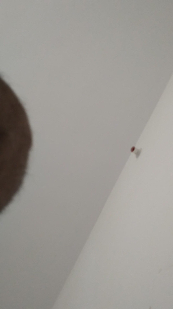 Saggyhardcore: Moje sexy holkafreind šuká v mém domě v mé ložnici, část 1