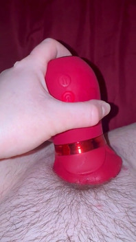 Close-up poesje slurpen