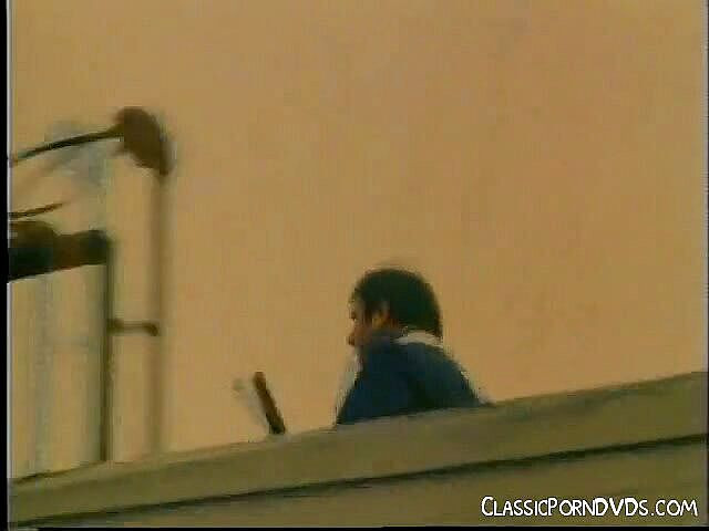 Classic Porn DVDs: ブルネットの赤ん坊の毛深い猫が舐められています