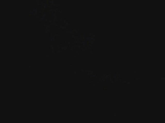 Wet Moments: Miss Wet Tričko