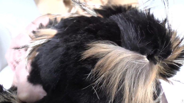 Lady Victoria Valente: Pelatihan ejakulasi: mengendus syal bulu dan cumshot, Lady Victoria Valente