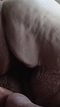 Encore une pute coquine qui pète