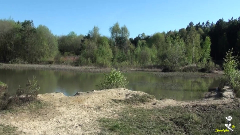Dirty Doctors Clips: Savana stripping by the lake