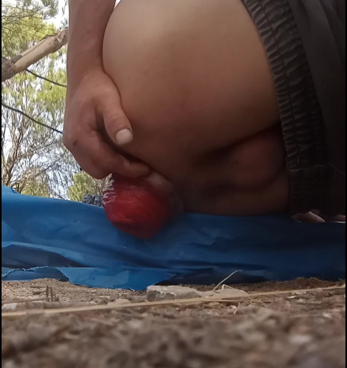 NoyzRvex: Prolapsusu