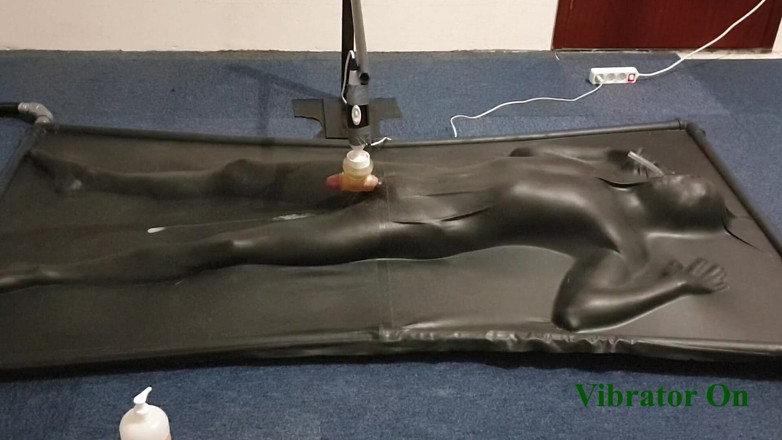 NL Milking: Milked by controlled vibrator in vacbed