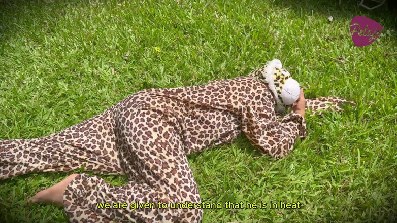 Pelaje mix: Natgio Mix: Hra na sex s divokými lvem a leopardy