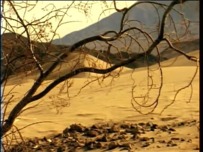 Pornos and Movies with big Huge and GangBang: Walaupun di padang pasir di bawah matahari panas dengan wanita...