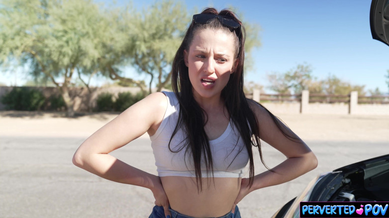 Perverted POV: Stranded Driver Gets Picked up for Sex