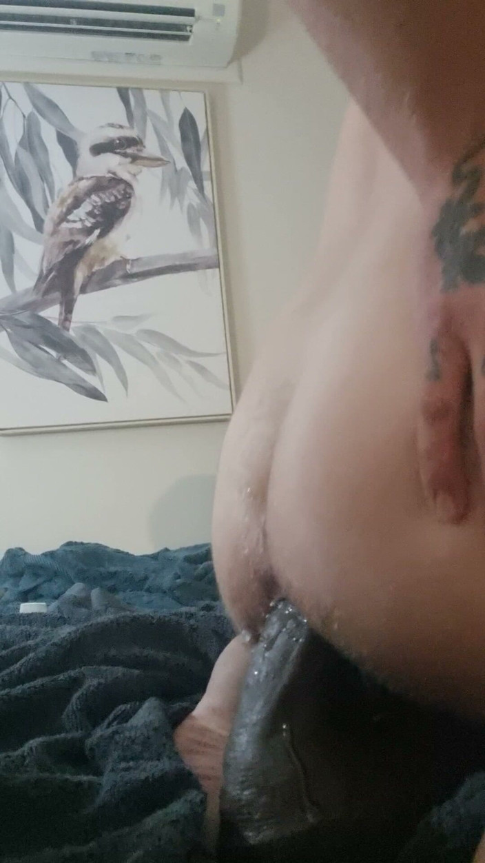 Gecko Lexi: 13 palců BBC dildo