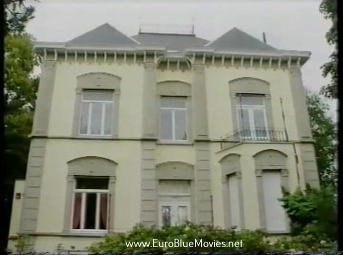 Euro Blue Movies: Kinh doanh nóng bỏng 1993