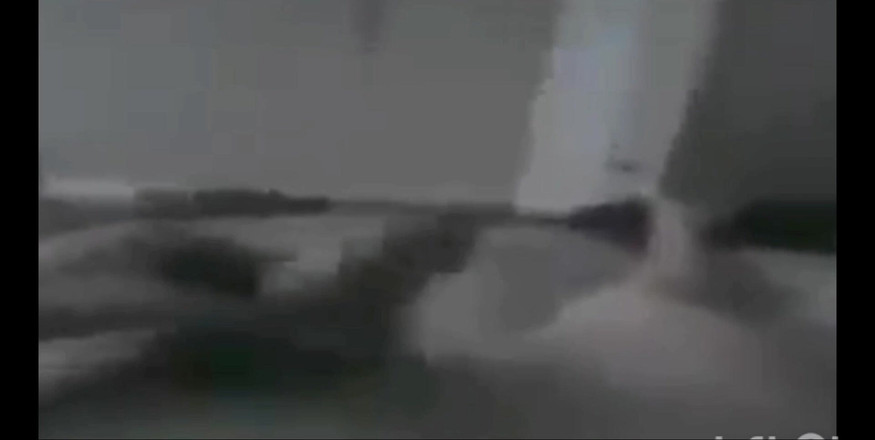 RoyToyBoi: Sega Kinda Day