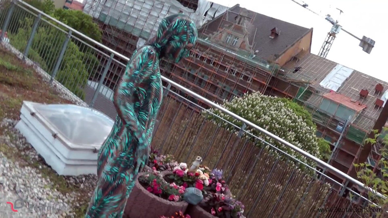 ZentaiDolls: Owinięty w Zentai