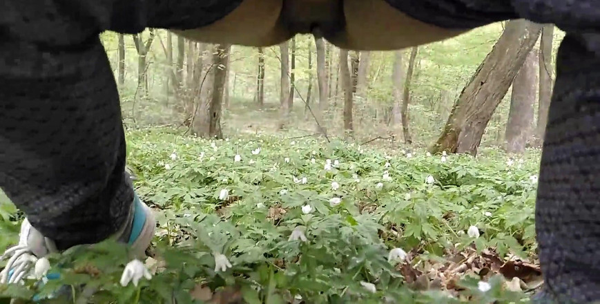 Erica Sweet: Pipi. Compilation