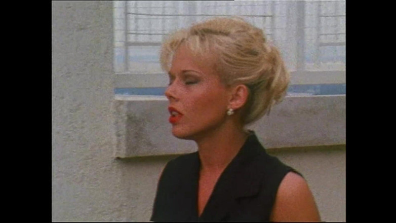 Vintage megastore: 毛深い猫を持つブルネットの恋人が、大きな硬いコックを持つ詐欺師に犯される