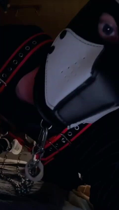 EvilSadness83: Собачка хоче пограти