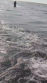 Bts Blooper Open Ocean Phootshot