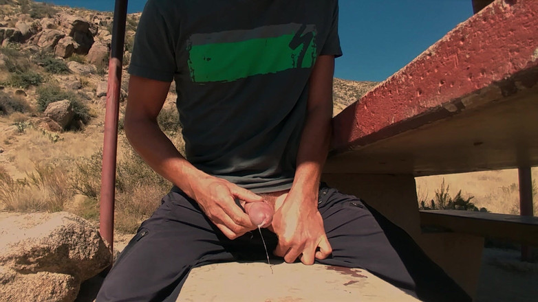 Lapetus: Honění na piknikové tabuli