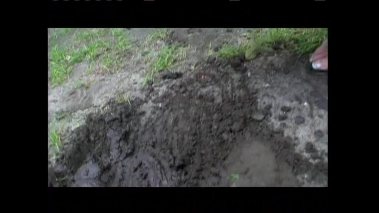 Porn4Life: Michelle B. Sexy Verrücktes Schwein