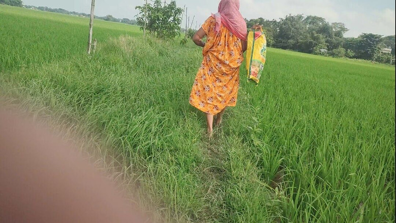 my house: 农村奶奶在田野里撒尿