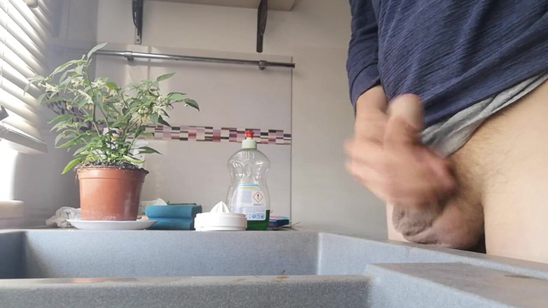 Rafael Torreano: Дрка з кухонною раковиною