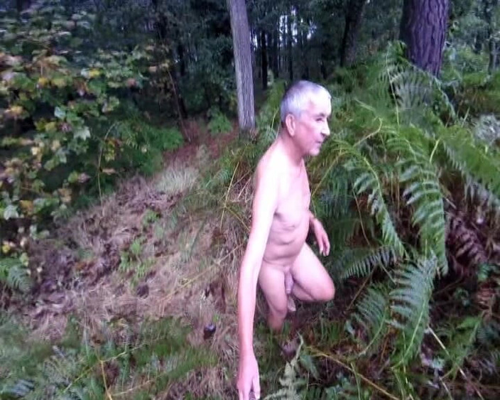 Andy: Ormanda yağmurlu ve ıslak