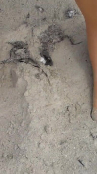 Jen Shows up Her Naked Feet in the Sand
