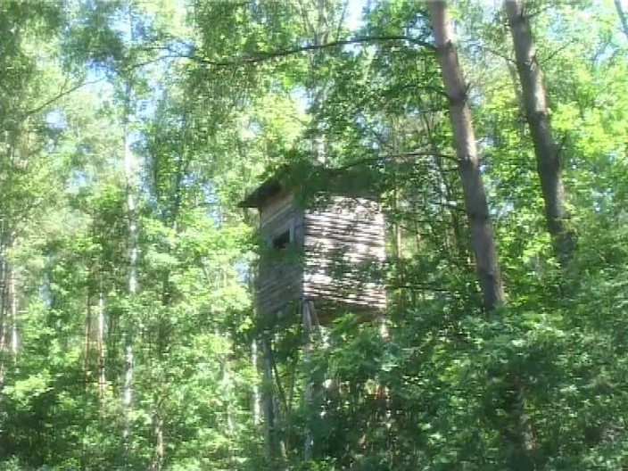 Forte porno TV xxx - (Just the best full movies): Anale lust - (volledige film)