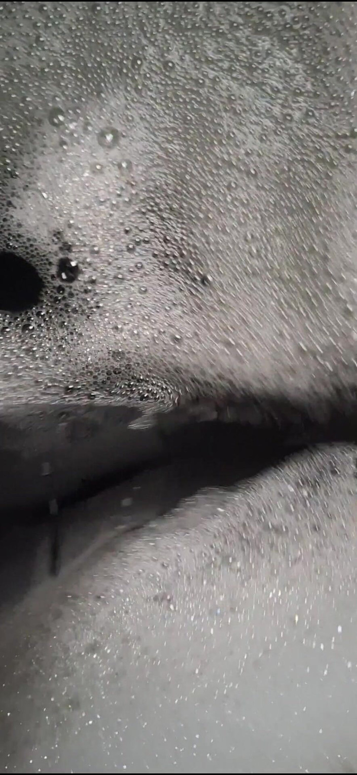 Dreamofevolution: 今天是洗澡日